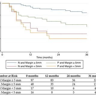 Kaplan–Meier curve of local tumor progression free survival stratified by post-ablation biopsy result (N: Negative or P: Positive) and ablation margin size.