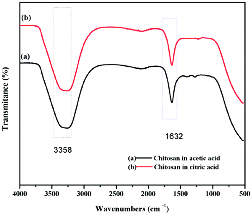 FTIR Spectra Of Chitosan Solution In A Acetic Acid B Citric Acid