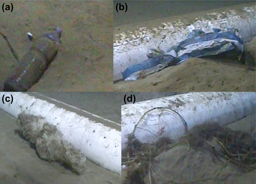 Selected pipeline associations. (A) Plastic bottle c. 730 m; (B) Plastic bag c. 1333 m; (C) Fishing net c. 1696 m; (D) Plant debris c. 1768 m.