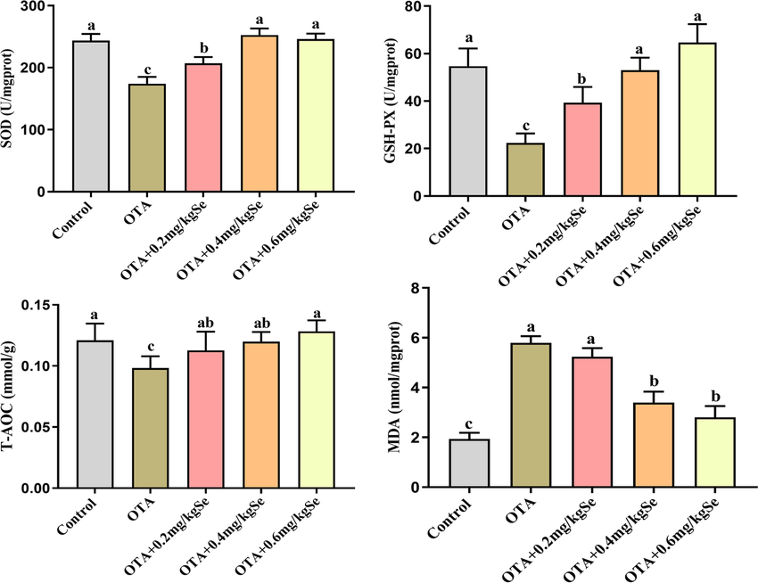 Effect of SeMet on the changes in antioxidant indices in rabbit kidneys ...