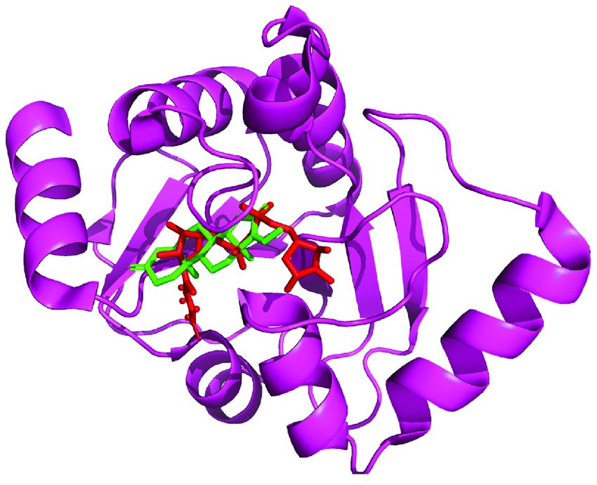Comparative binding pose of the docked ligand guggulsterone (green) to the native pose of the reference crystallized ligand ADP ribose (red) within the active binding site of the viral ARP enzyme.