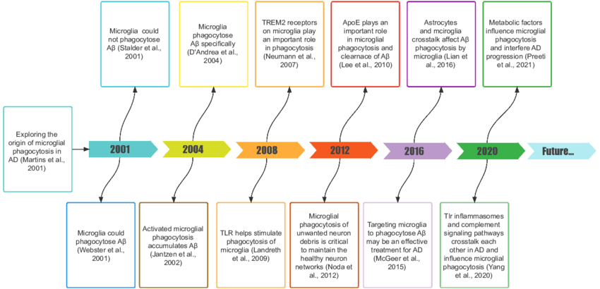 Study timeline and landmark studies relating to the role of