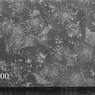SEM micrographs of PEG(1OH-1CH3)/PLLA 30/70 blend isothermally crystallized at 100 °C