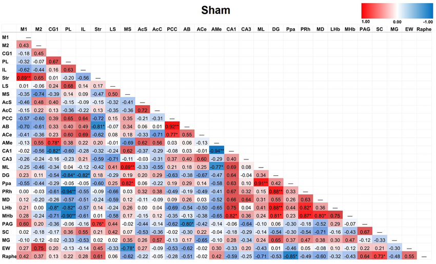 Heat color map of Pearson’s r values for each pairwise correlation between two ROIs in the sham group. Red indicates positive inter-regional correlations and blue indicates negative correlations. * indicates a p-value < 0.05. ** indicates a p-value < 0.01. *** indicates a p-value < 0.001.