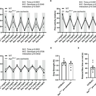 Behavioral and metabolic phenotype profile in pre-cachectic male and female ApcMin/+ mice over six days. (A) Directed locomotor activity, (B) stereotypic behavior (grooming, rearing, etc.), and (C) sleeping hours during the light and dark cycle in non-cancer control C57BL/6J (n=9) and pre-cachectic ApcMin/+ (n=7) mice. Mixed-effects model followed by Sidak’s multiple comparison (D) Grip strength and (E) rotarod test. Two-tailed unpaired t-test. *p<0.05.