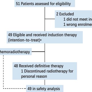 Trial profiles
The induction therapy included NAB-paclitaxel, cisplatin and capecitabin regimen induction chemotherapy, antiangiogenic agent apatinib, and anti-PD-1 immune checkpoint inhibitor antibody camrelizumab. *With the exception of the primary end point (based on the first 46 patients per protocol).