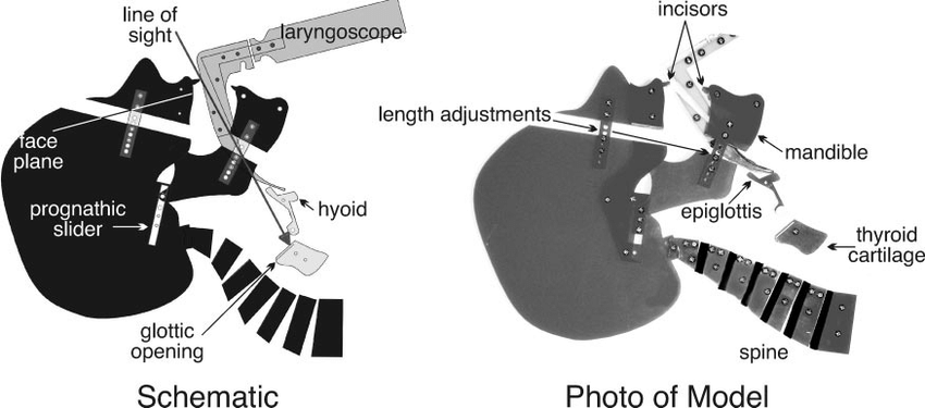 parts of laryngoscope